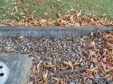 image of grave number 583170
